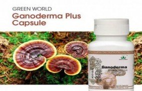 Ganoderma Plus Capsule Price in Pakistan