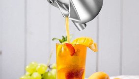 Fruit Press Manual Juicer Price in Pakistan